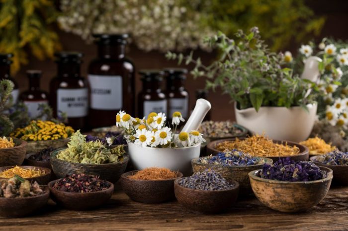 Herbal Home Remedies to Make this Year - Homespun Seasonal Living