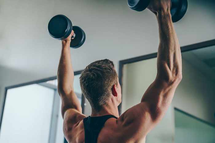 1920x1200px | free download | HD wallpaper: Arm Back Muscles Photo ... 1920x1200px | free download | HD wallpaper: Arm Back Muscles Photo ...
