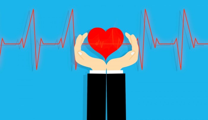Free Images : insurance, life, protect, help, secure, care, figure ...